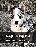 Corgi Husky Mix: Everything You Need to Know (English Edition)