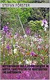 Beeteinfassung und Flächenbegrenzug im Garten. Fachliteratur für Hobbygärtner und Gartenb