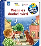 Wieso? Weshalb? Warum? junior: Wenn es dunkel wird (Band 28) (Wieso? Weshalb? Warum? junior, 28)