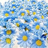 JZK® 100 x künstliche blau Handwerk Gerbera Daisy Gänseblümchen Stoff Blumen Köpfe, Hochzeit Party Tisch Scatters Konfetti, DIY Scrapbook Zubehör, Einladung Karte Dekoration (blau)