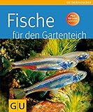 Fische für den G