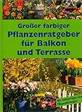 Großer farbiger Pflanzenratgeber für Balkon und Terrasse. Die 200 schönsten Balkon- und Terrassenpflanzen von A-Z