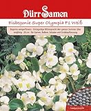 Dürr Samen 1108 Eisbegonie Super Olympia F1 weiß (Eisbegoniesamen)
