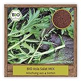 BIO Asia Salat Samen Mix Pflücksalat Asiasalat (Mischung aus 4 Sorten) Gemüsesamen Salat Mischung ganzjährig & w