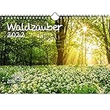 Waldzauber DIN A4 Kalender für 2022 Wald - Seelenzaub