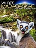 Wildes Madagaskar: Die Insel der L