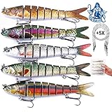 Njord Kalastus Hecht Köder Set Kunstköder 5 Stück in Box Angel-Köder zum Raubfisch-Angeln – Wobbler mehrteilig mit Gelenk für realistischen Lauf 14cm 25g langsam sinkend +5X S