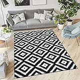 TAPISO Luxury Teppich Wohnzimmer Kurzflor Schwarz Weiß Modern Geometrisch Marokkanisch Gitter Karo Kariert Schlafzimmer ÖKOTEX 140 x 200