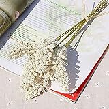 FCS Künstliche Blumen 6 Stück/Bündel PE Lavendel billig Künstliche Blumengroß Pflanze Wanddekoration Bouquet Materialien manuelle Vasen for Zuhause (Color : 1)
