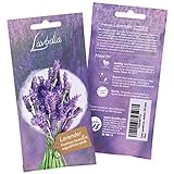 Lavendel Samen: Premium Lavendelsamen für ca. 100 duftende Lavendel Pflanzen – Lavendel Pflanze Samen, Mehrjährig – Bienen Blumen Samen von L