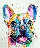 WDLZB Malen nach Zahlen für Erwachsene und Kinder, DIY Leinwand Ölgemälde-Set für Erwachsene Kinder Anfänger, Malen nach Zahlen-Kits, bunte französische Bulldogge (ohne Rahmen) 30x40