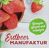 Erdbeer-Manufaktur: Pflanzen, pflegen und verp