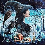 Halloween 5D Diamant Malerei Kit, Diamant Painting Hexe und Katze Bilder，Erwachsenen Kunst Volldiamant Diamant Malerei, Cross Stitch Diamond Home Wanddek