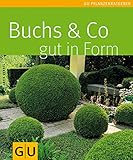 Buchs & Co. gut in F