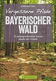 Wanderführer Bayerischer Wald: 35 stille Touren abseits des Trubels. Vergessene Pfade im Bayerwald. Entspannte Wanderungen mit Kindern durch den ... Touren abseits des Trubels (Erlebnis Wandern)