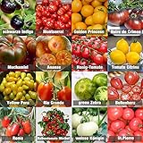 Tomaten Saat Set 16 x 10 Saatgut Tomaten Mix 100% Natursamen handverlesen aus Portugal, seltene und alte Sorten, Samen mit hoher Keimrate, Tomatensamen für Garten, Balkon, Terrasse, Gew