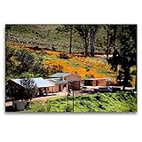 CALVENDO Premium Textil-Leinwand 120 x 80 cm Quer-Format Farm in den Cederberg Mountains, Südafrika, Leinwanddruck von Richard W