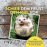 Schieb dem Frust den Igel vor: Vom Sommervermisser zum Wintergenießer in nur 30 Tag