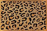 Fußmatte Kokosmatte 40x60 cm mit Leopard Muster aus strapazierfähigem Kokosfaser Rutschfester Latex Unterlage, Fußabtreter, Schmutzfangmatte, Fußabstreifer, Türvorleger, Türmatte, IKEA Skib