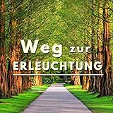 Reise in die N