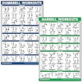 QuickFit Hanteltraining- und Langhantel-Übungsposter-Set (in englischer Sprache) – laminiertes 2-teiliges Diagramm-Set, laminiert, 18' x 27'