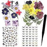 124 Stück natürliche echte getrocknete gepresste Blumen Blätter Set und Schmetterling Aufkleber Aufkleber mit Pinzette für Scrapbook Harz Schmuck Handwerk DIY Kerze und Nail Art Blumendek