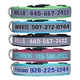 Personalisierte Hundehalsband, benutzerdefinierte Hundehalsband mit gestickten ID Pet Name & Telefonnummer, Breakaway REFLECTIVE Hundehalsband mit 4 einstellbaren Größen: XS, S, M, L