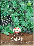 Sperli Premium Asia Salat | Asia Spicy Green Mix | 4 Sorten | Asia Salat Samen | winterhart ganzjährig