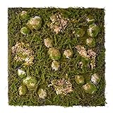 REPITERRA Terrarium Rückwand 3D Hintergrund Deko Naturlook Wald 58x58cm für Terrarien Ausb