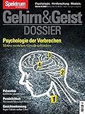 Gehirn&Geist - Psychologie der Verbrechen: Motive verstehen - Gewalt verhindern (Gehirn&Geist Dossier)