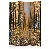 murando Raumteiler Foto Paravent Wald 135x172 cm einseitig auf Vlies-Leinwand Bedruckt Trennwand Spanische Wand Sichtschutz Raumtrenner Design Bäume Natur Botanik Sonne c-B-0076-z-b