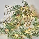 rzoizwko Weihnachtsgirlande Lichterketten， 6.5FT 20 LED Tannenzapfen Beere Lichterkette Batteriebetrieben， Kupfer Lichterketten für Weihnachtsbaum Hochzeit Urlaub Dekoration， A1 (A4 2M 20LEDS)