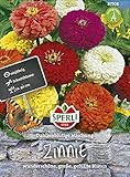 Sperli-Samen Zinnien Dahlienblütige Mischung