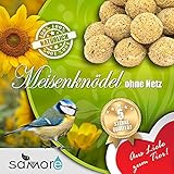 200 Stück ohne Netz Meisenknödel 4 Jahrenszeiten Vogelfutter Wildvogelfutter Ganzjahresfutter Versand mit DHL