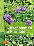 Gartenblumen in Harmonie: Stauden gekonnt komb