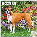 Boxer-Kalender 2022 – Deluxe 2022 Boxer Wandkalender-Set mit über 100 Kalenderaufklebern (Hunde-Liebhaber-Geschenke, Bürobedarf)