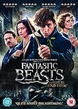 Fantastic Beasts and Where To Find Them (+ Digital Download) [2016] [DVD] UK-Import, Sprache-Eng