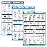 'QuickFit 3er-Pack – Hanteltraining + Kugelhantel-Übungen + Bodyweight Routine Poster-Set – Set mit 3 Trainingstabellen, laminiert, 18' x 27''