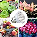 MINGMIN-DZ AmmToo Full Spectrum LED wachsen Licht 60leds Spotlight-Lampen-Birnen-Blumen-Anlage Gewächshaus Hydroponiksystem 220V AC wachsen Box (Color : 10Pcs, Wattage : 60LEDs)