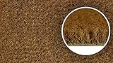 Kokosmatte Natur Fußmatte 40 x 70 cm - Hervorragende Reinigungswirkung - für Innen & Außen - rutschfester PVC Unterseite - Verschleißfeste Sauberlaufmatte Fussmatte aus natürlicher Kok
