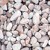 Zierkies Marmorzierkiesel rosso Verona Rot 15-25 mm a 25 kg