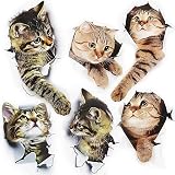 FYSL 6 Stück Süß 3D Katzen Wandtattoo Kombination kühlschrankaufkleber türaufkleber für Badezimmer chlafzimmer,Heimdek