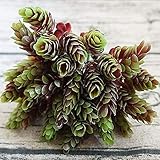 FCS Künstliche Blumen 30pcs / 1 Bündel Simulation Grünpflanze billig Künstliche Kunststoff Blume for Heimtabelle Dekorative Hochzeit DIY-Süßigkeit-Geschenk-Box (Color : Brown)