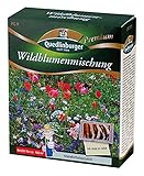 Blumenwiese - Wildblumenmischung (ohne Gräser) von Quedlinburger Saatg