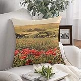 Dekorative Werfen Kissen Abdeckung Weichen in Mohn Blume Hügel, Feld, Toskana, Schöne Landschaft, atemberaubende Landschaft, Natur, toskanischen Outdo für Couch Schlafzimmer Auto 18'x18'