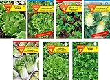 Frankonia-Samen / Samen-Sortiment / 7 Salatsorten / Kopfsalat / Bataviasalat / Pflücksalat / Romansalat /Zichoriensalat / Endivien / F