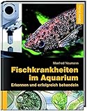 Fischkrankheiten im Aquarium: Erkennen und erfolgreich b