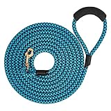 Hundeleine Geflochten Retrieverleine Nylon Lange Erziehungsleine Hundführleine Ausbildungsleine für Kleine Mittlere Hunde Trainingsleine Langlaufleine 3M 5M 10M Seil Schauleine (5M, blau 12mm)