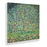 Giallobus - Gemälde - Gustav Klimt - Apfelbaum I - Leinwand - 100x100 - Bereit zum Aufhängen - Moderne Gemälde für zu H