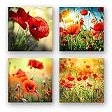 Mohnblumen Wand-Bilder als mehrteiliges, 4-teiliges Blumen Bilder-Set, je 29x29cm klein, schwebende Optik, Fine Art Druck auf Forex für eine Moderne Optik. Deko für Wohnzimmer Küche Flur S